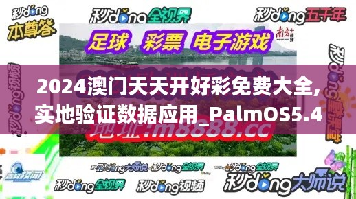 2024澳门天天开好彩免费大全,实地验证数据应用_PalmOS5.490