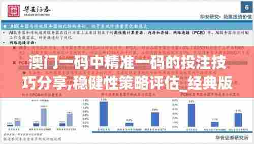 澳门一码中精准一码的投注技巧分享,稳健性策略评估_经典版6.114