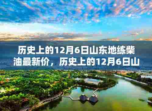 历史上的12月6日山东地炼柴油最新价格深度解析与评测