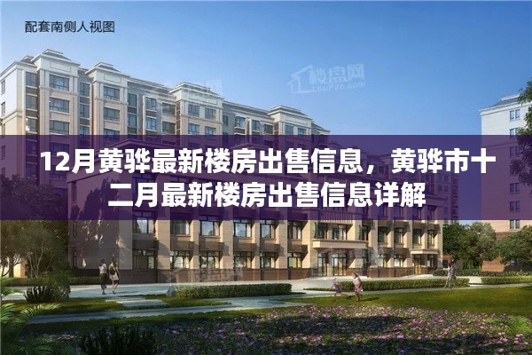 黄骅市最新楼房出售信息详解,十二月最新房源一览