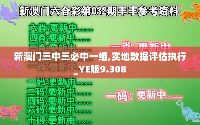 新澳门三中三必中一组,实地数据评估执行_YE版9.308