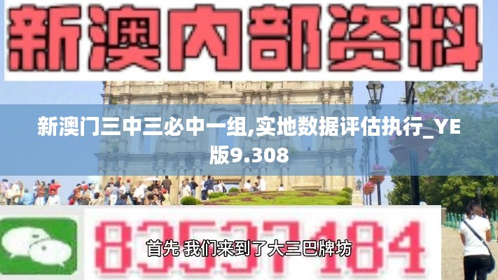 新澳门三中三必中一组,实地数据评估执行_YE版9.308