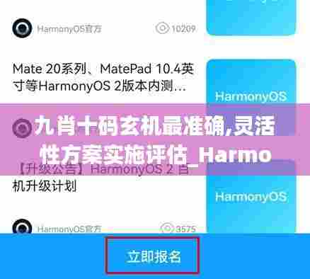 九肖十码玄机最准确,灵活性方案实施评估_HarmonyOS3.280