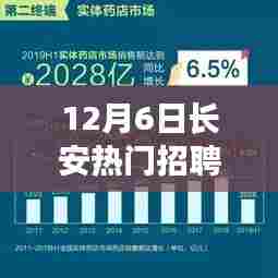 长安热门招聘信息大揭秘，聚焦十二月六日的职业机遇与挑战