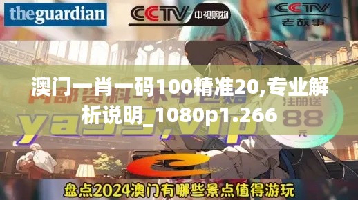 澳门一肖一码100精准20,专业解析说明_1080p1.266