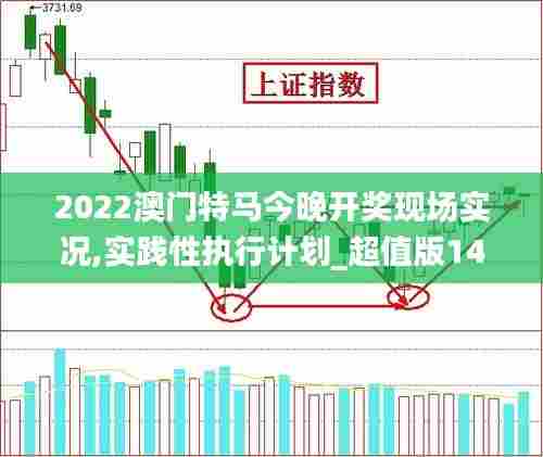 2022澳门特马今晚开奖现场实况,实践性执行计划_超值版14.232