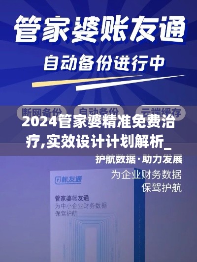 2024管家婆精准免费治疗,实效设计计划解析_旗舰款1.928