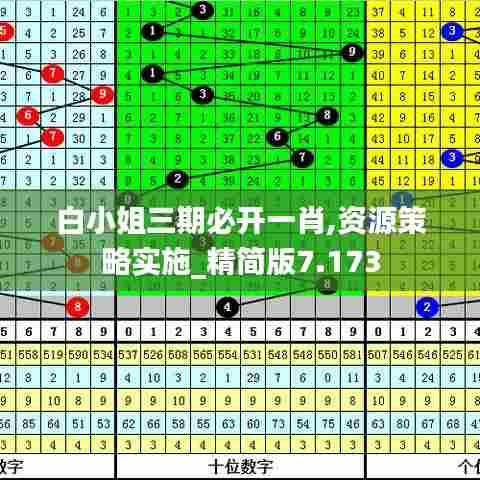 白小姐三期必开一肖,资源策略实施_精简版7.173