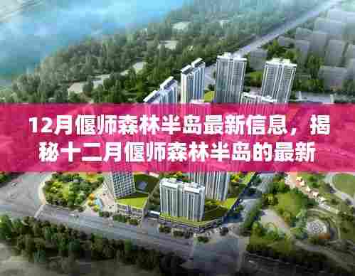 揭秘十二月偃师森林半岛最新动态与信息速递