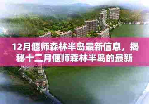 揭秘十二月偃师森林半岛最新动态与信息速递