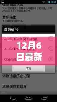 最新影音先锋下载与安装指南，适合初学者与进阶用户的详细步骤