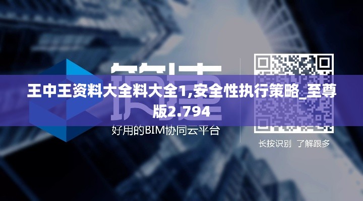 王中王资料大全料大全1,安全性执行策略_至尊版2.794