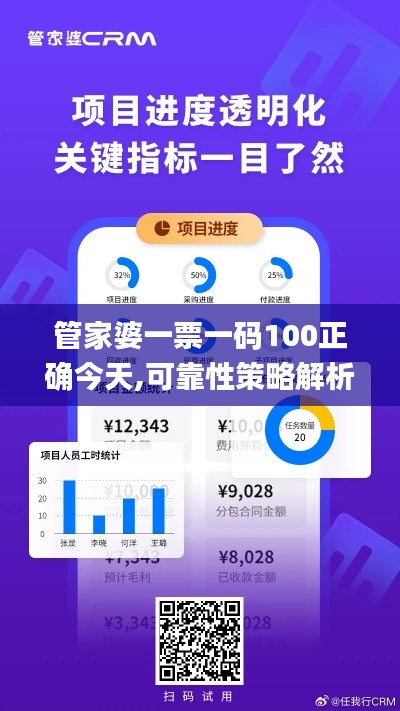 管家婆一票一码100正确今天,可靠性策略解析_Pixel1.955