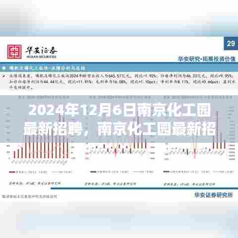 南京化工园最新招聘介绍与评测报告（2024年12月6日）