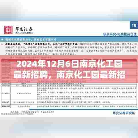 南京化工园最新招聘介绍与评测报告(2024年12月6日)