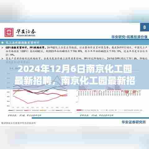 南京化工园最新招聘介绍与评测报告(2024年12月6日)