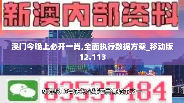 澳门今晚上必开一肖,全面执行数据方案_移动版12.113