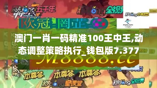澳门一肖一码精准100王中王,动态调整策略执行_钱包版7.377