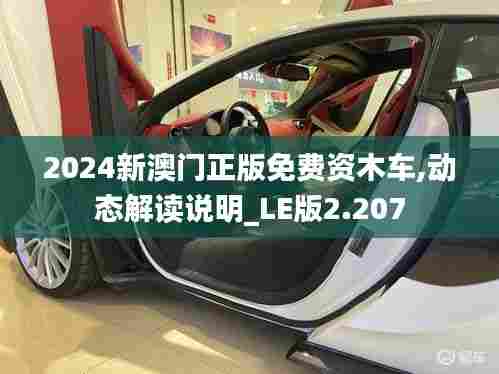 2024新澳门正版免费资木车,动态解读说明_LE版2.207