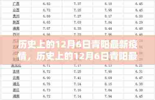 历史上的12月6日青阳疫情状况及应对指南，最新疫情动态与详细步骤解析