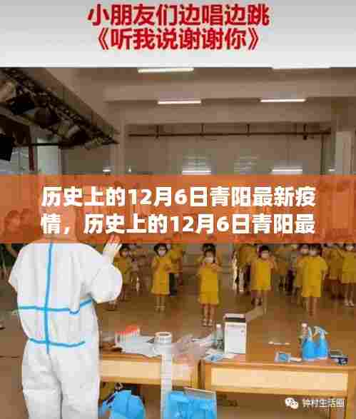 历史上的12月6日青阳疫情状况及应对指南,最新疫情动态与详细步骤解析