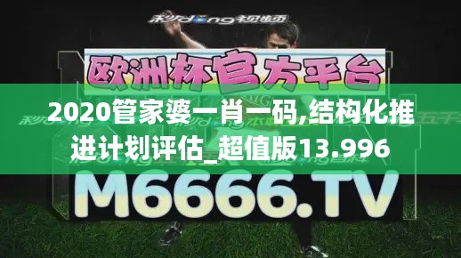 2020管家婆一肖一码,结构化推进计划评估_超值版13.996