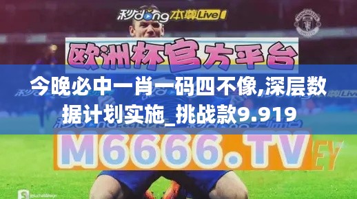 今晚必中一肖一码四不像,深层数据计划实施_挑战款9.919