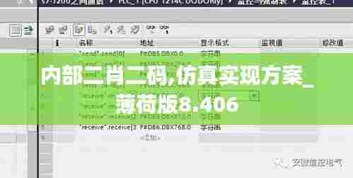 内部二肖二码,仿真实现方案_薄荷版8.406