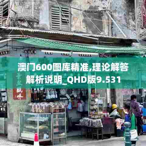 澳门600图库精准,理论解答解析说明_QHD版9.531