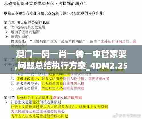 澳门一码一肖一特一中管家婆,问题总结执行方案_4DM2.253
