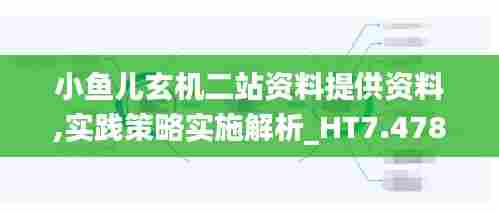 小鱼儿玄机二站资料提供资料,实践策略实施解析_HT7.478