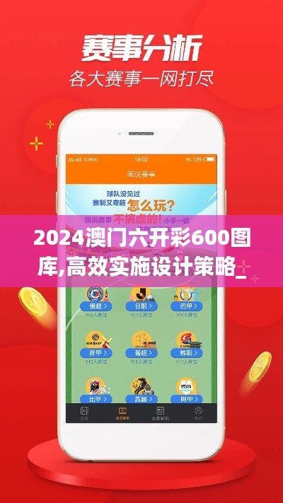2024澳门六开彩600图库,高效实施设计策略_复刻版9.246