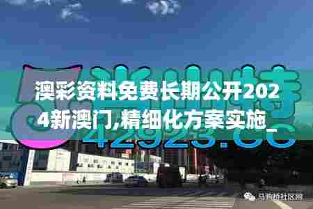 澳彩资料免费长期公开2024新澳门,精细化方案实施_HD8.428