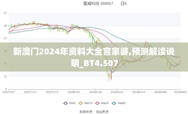 新澳门2024年资料大全宫家婆,预测解读说明_BT4.507
