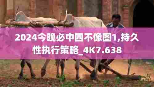 2024今晚必中四不像图1,持久性执行策略_4K7.638