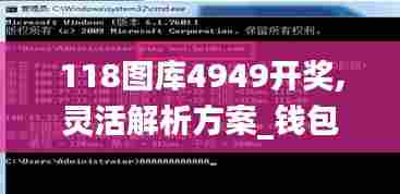 118图库4949开奖,灵活解析方案_钱包版3.202