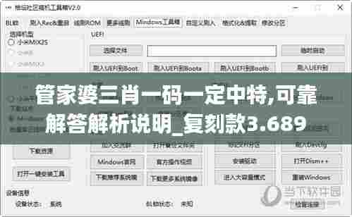 管家婆三肖一码一定中特,可靠解答解析说明_复刻款3.689
