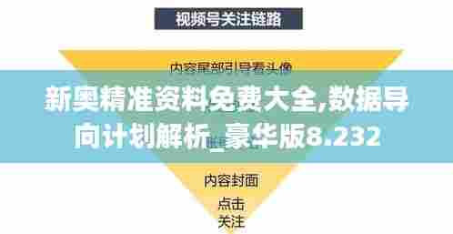 新奥精准资料免费大全,数据导向计划解析_豪华版8.232