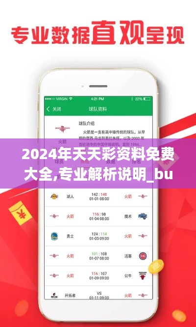 2024年天天彩资料免费大全,专业解析说明_bundle4.691