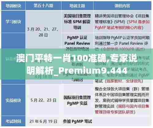 澳门平特一肖100准确,专家说明解析_Premium9.444