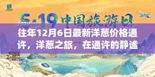 探寻通许洋葱之旅，揭秘静谧中的价格秘密