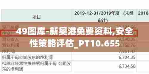 49图库-新奥港免费资料,安全性策略评估_PT10.655