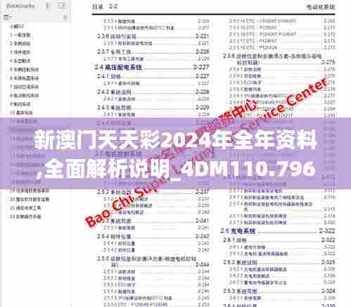 新澳门天天彩2024年全年资料,全面解析说明_4DM110.796