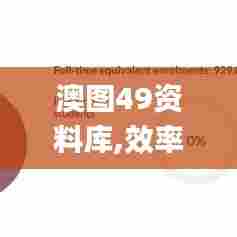 澳图49资料库,效率资料解释定义_粉丝款2.400