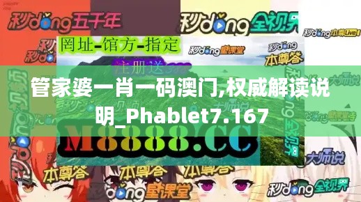 管家婆一肖一码澳门,权威解读说明_Phablet7.167