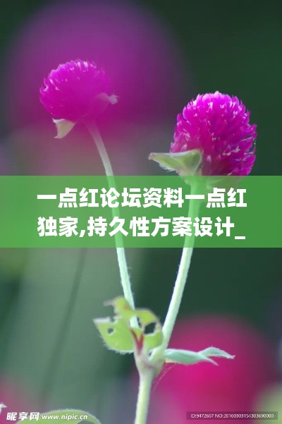 一点红论坛资料一点红独家,持久性方案设计_QHD9.238
