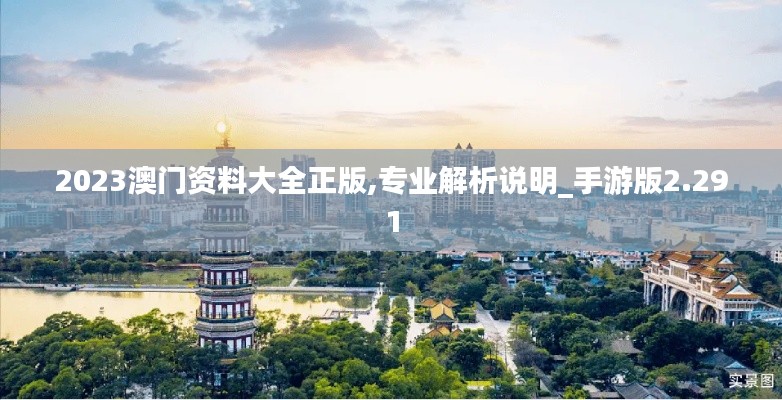 2023澳门资料大全正版,专业解析说明_手游版2.291