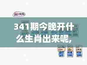 341期今晚开什么生肖出来呢,深入执行方案设计_Galaxy1.348