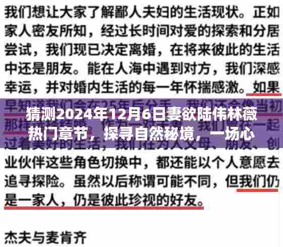 妻欲陆伟林薇的明日探险记,探寻自然秘境的心灵之旅,热门章节预测与期待(2024年12月6日)