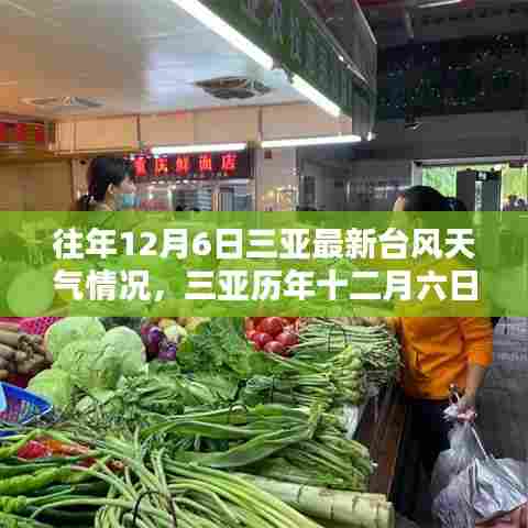 历年与最新，三亚十二月六日台风天气的壮丽与影响回顾